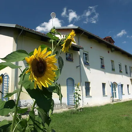 Del Po Saluzzo